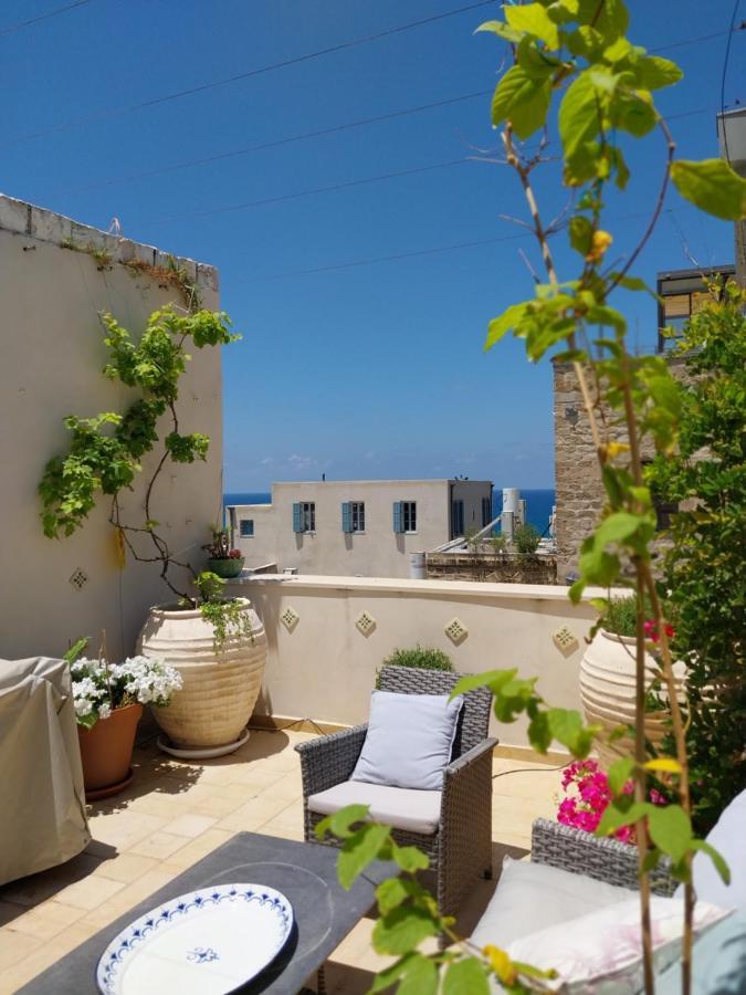 Luxury Studio At The Heart Of Old Jaffa 特拉维夫 外观 照片