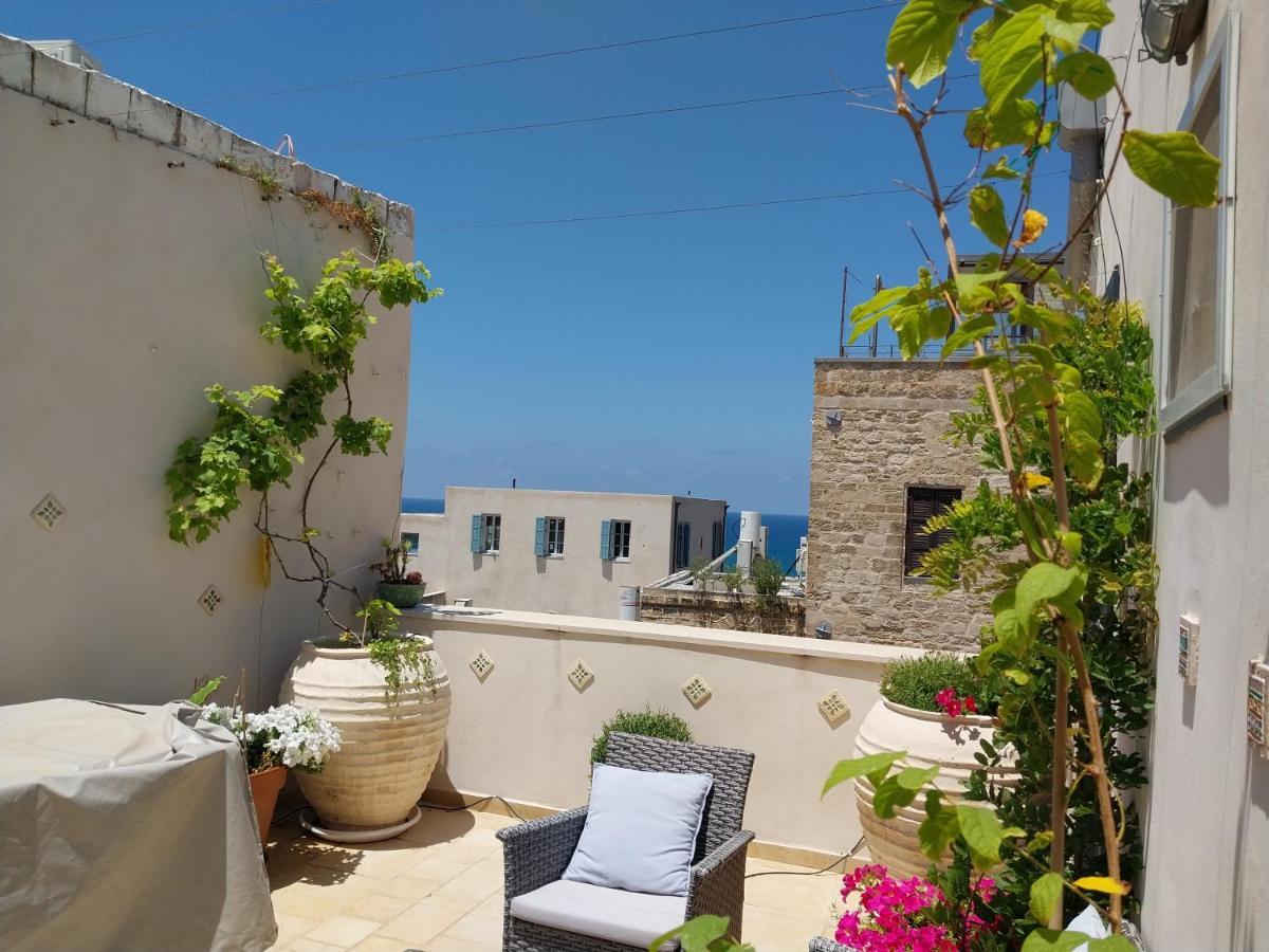 Luxury Studio At The Heart Of Old Jaffa 特拉维夫 外观 照片